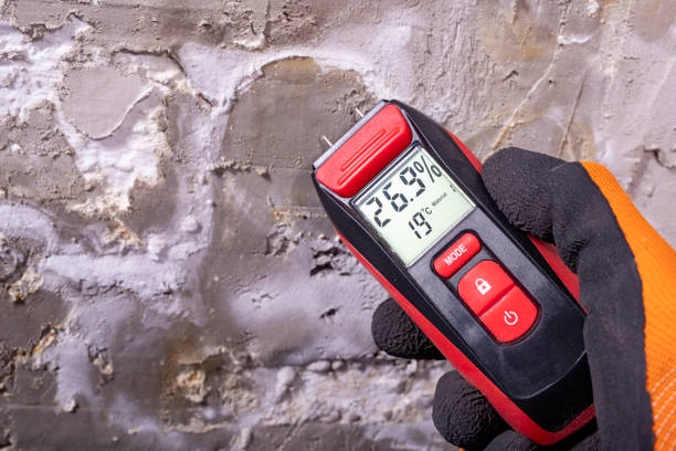 Best Commercial Mold Removal  in Grapevine, TX