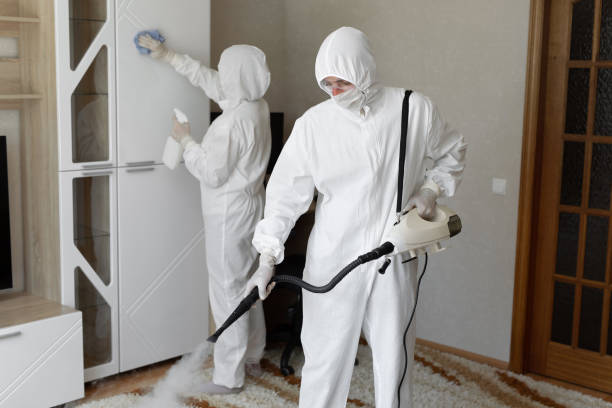 Certified Mold Removal in Grapevine, TX